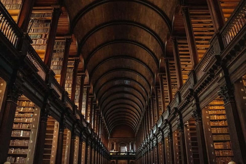 Dublin: Trinity College, Castle, Guinness and Whiskey Tour - Should you book this Dublin Trinity–Castle–Whiskey–Guinness tour?