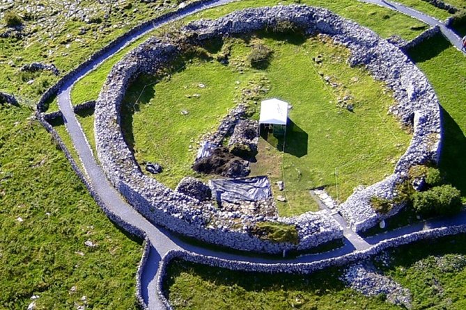 From Dublin: Cliffs of Moher, Bird of Prey & Aillwee Cave - Aillwee Cave: 330 million years underground, with a real guided route