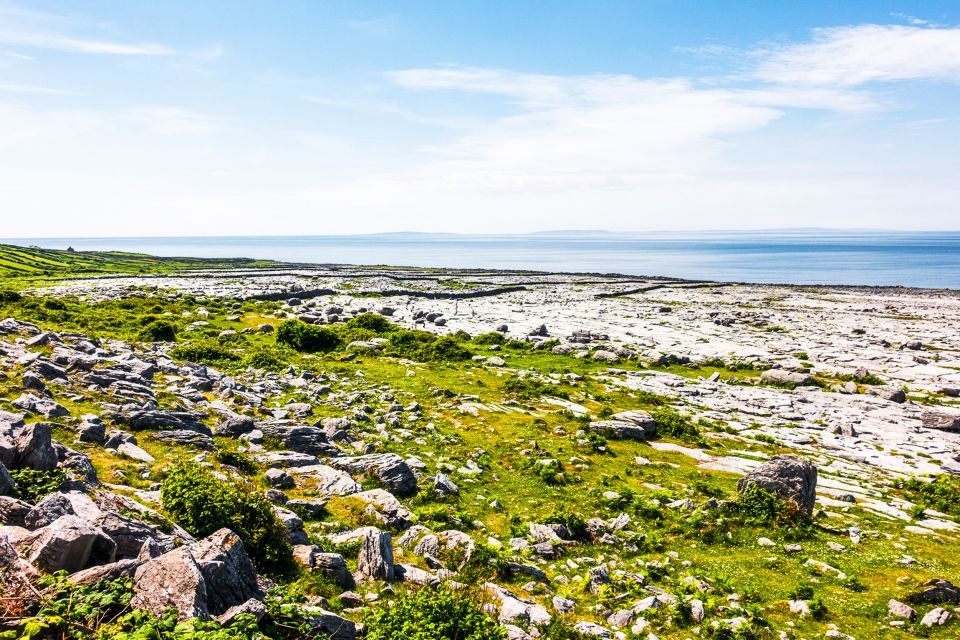 From Dublin: Cliffs of Moher, Burren & Galway City Day Tour - Coach Comfort, Timing, and the Day-Long Reality Check