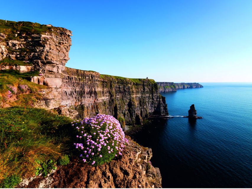 From Dublin: Cliffs of Moher Small Group Tour - How the guide experience affects the day (and why that matters)