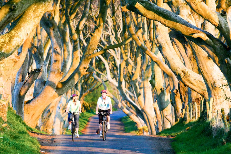 From Dublin: Giant's Causeway & Belfast Titanic with Ticket - Price and logistics: is $124 worth it from Dublin?