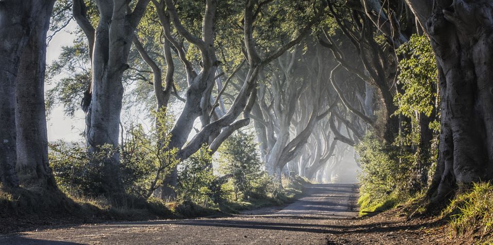 From Dublin: Giant's Causeway Tour and Whiskey Tasting - Who This Tour Suits Best (and Who Should Skip It)