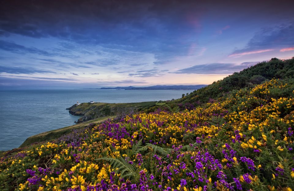 From Dublin: Half-Day Guided Coastal Tour to Howth Village - Key things to know before you go