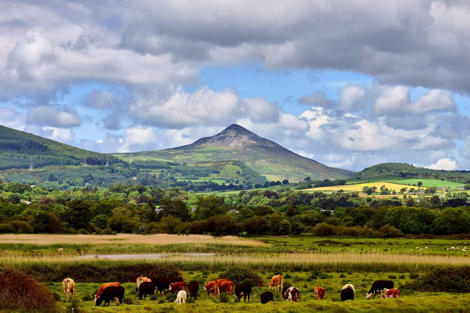 From Dublin: Wicklow Mountains, Glendalough & Kilkenny Tour - Who this tour suits (and who should skip it)
