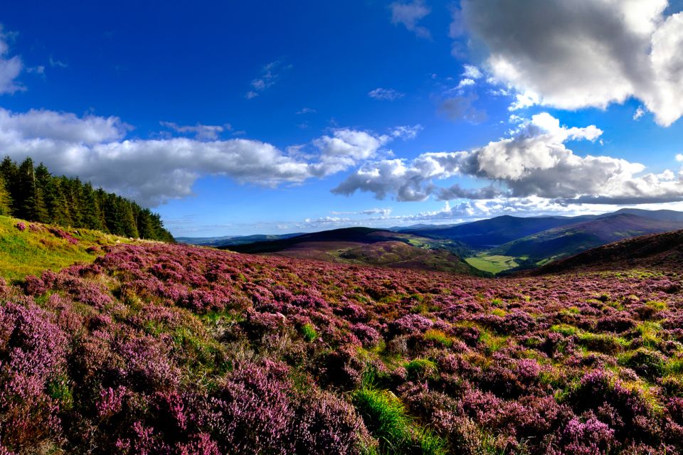 From Dublin: Wicklow Mountains, Glendalough, & Kilkenny Tour - Wicklow Mountains Drive: Wicklow Gap to Sugarloaf in One Long Scenic Stretch