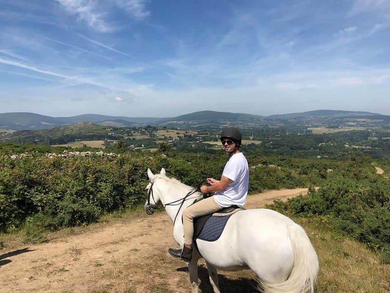 From Dublin: Wicklow, Powerscourt, and Glendalough Day Tour - Why Wicklow feels like a reset from Dublin