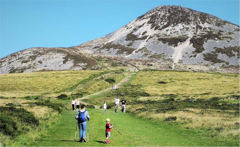 From Dublin: Wicklow, Powerscourt, and Glendalough Day Tour - The van, the guide, and why small-group touring matters