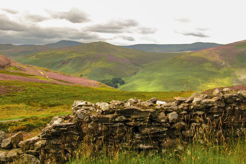 From Dublin: Wild Wicklow Mountains and Glendalough Tour - Price and value for an 8.5-hour coach day
