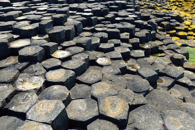Giant's Causeway Custom Tailored Award Winning Private Tour. - Stop 1: Giant’s Causeway in about 90 minutes