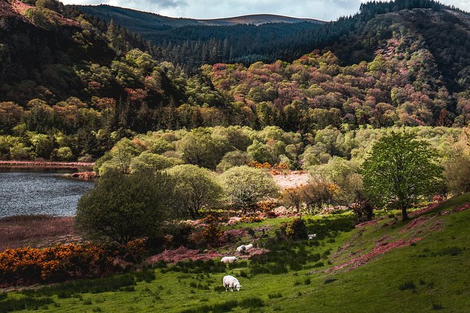 Glendalough Day Tour from Dublin: Including Kilkenny City - Value and price: is $48.27 really fair?