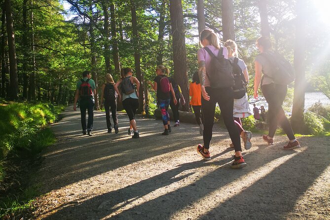 Glendalough Night Hike and History Tour - Wildlife at dusk and after dark: what to watch for