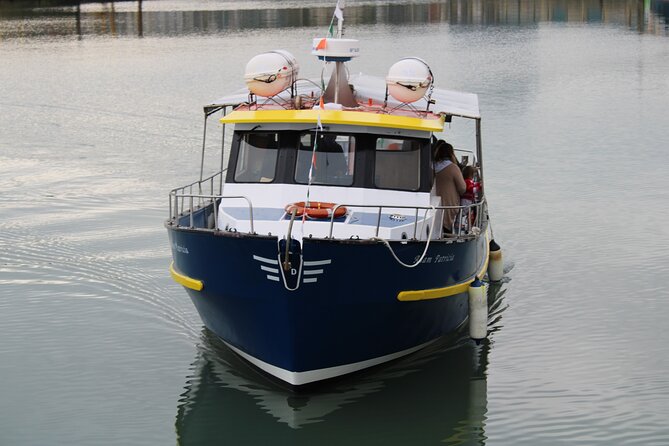 Howth Cliffs and Ireland's Eye Ferry Boat Tour - Where you meet: 16 W Pier in Howth (and how to get there)