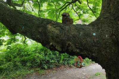 Howth Hiking Trail from Dublin: Mythology and Legend - Price and what you’re really paying for
