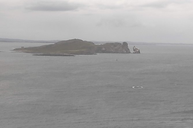 Howth Hiking Trail from Dublin: Mythology and Legend - Forest crossing and the picnic moment you’ll actually feel