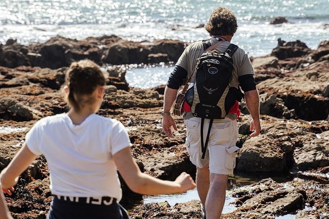 Howth Safari Hiking Tour - Weather, footwear, and other “don’t ruin your day” realities