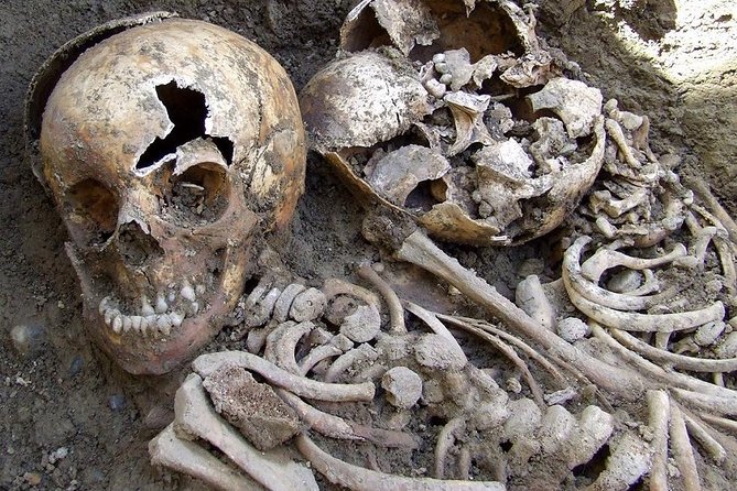 Irish Famine Museum / Exhibition Dublin - Price and value for an hour-long visit at $18.15