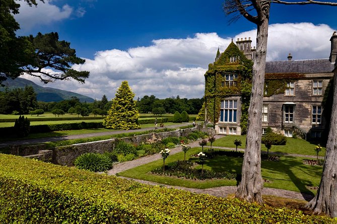 Kerry Highlights Day Tour from Dublin - Killarney town lunch break: good food, no rush… almost