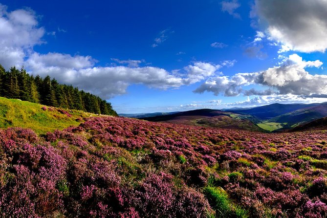 Kilkenny, Wicklow Mountains & Glendalough Day Tour from Dublin - Wicklow Gap: Panoramic Views and Movie Trivia