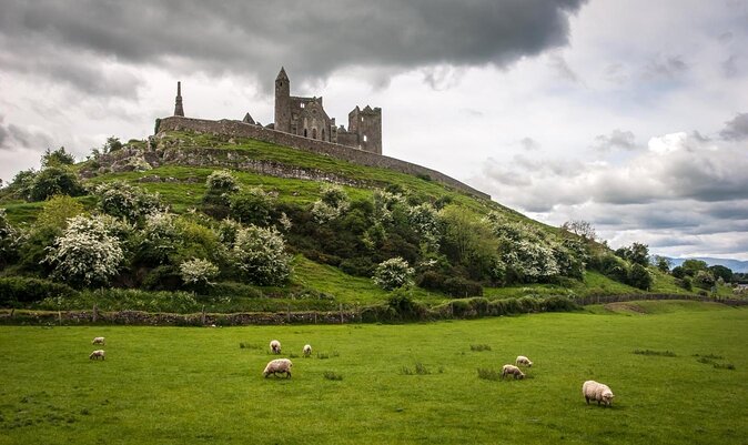 Rock Of Cashel And Blarney Castle Private Chauffeur Full Day Sightseeing Tour - Private chauffeured day from Dublin: why this beats a rental car