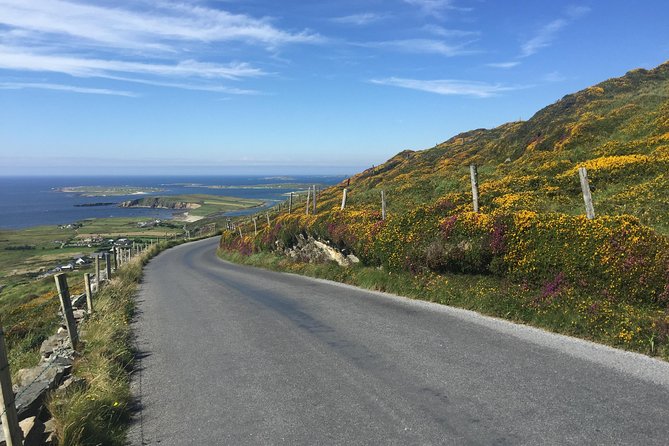 Sustainable Connemara and Galway Bay Rail Tour from Dublin - Roundstone Harbor and the seafood lunch: what you should plan for