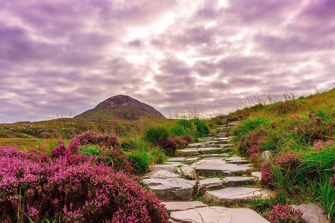 Sustainable Connemara and Galway Bay Rail Tour from Dublin - The return to Dublin by rail: how to use the evening time