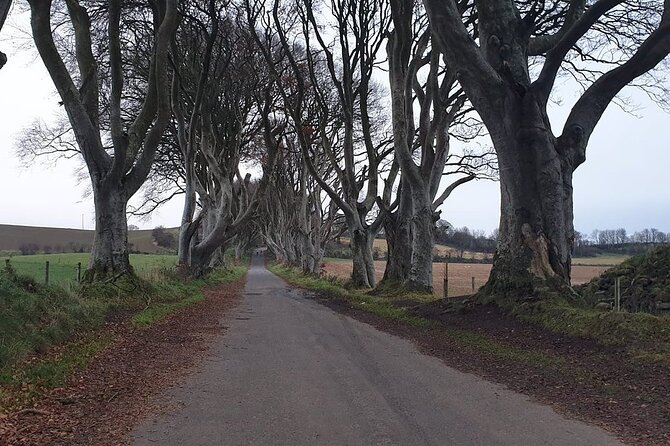 The Giant's Causeway, Dunluce Castel and Belfast - Spanish guide - Tickets, mobile entry, and what you still need to handle