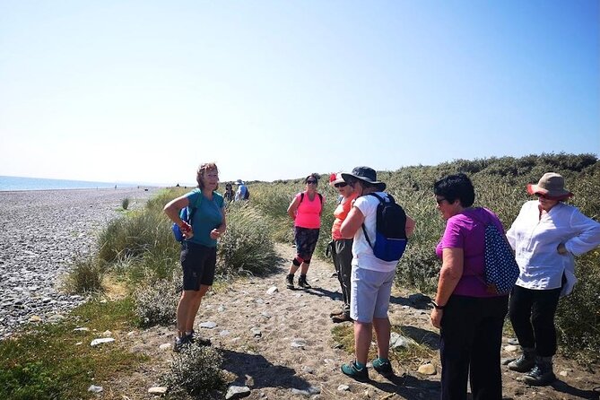 Tour Wicklow Mountains National Park in a limo with private guide - Timing and pace for an 8-hour private day trip