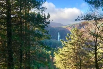 Tour Wicklow Mountains National Park in a limo with private guide - Wicklow Mountains National Park drive: heather, dark lakes, and movie roads