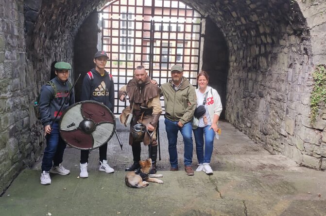 Walking Tour of Dublin’s Viking/Medieval Quarter with a Viking - Dublin Castle: Your First Stop and the Story’s Starting Point