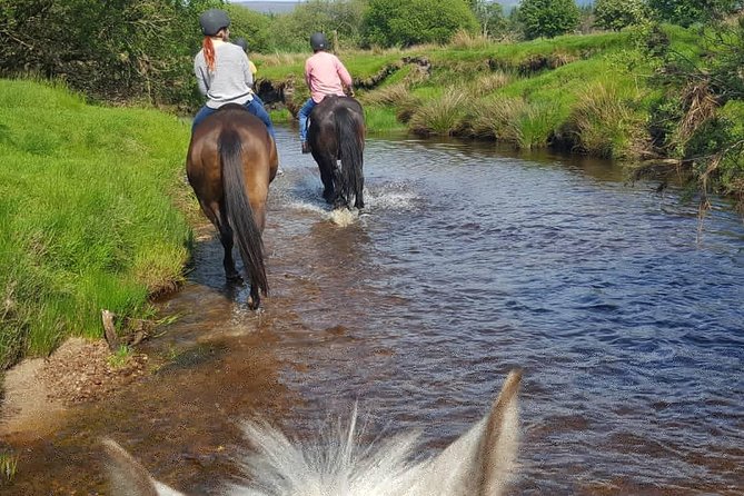 Wicklow Mountains Horse Trekking - What you do during the 1 hour 20 minute ride